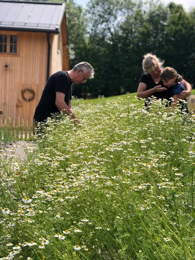 Loft Naturalpina Dolomiti Farm 벨루노 이탈리아